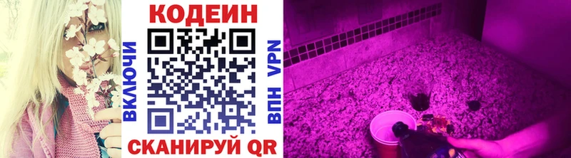 продажа наркотиков  гидра ТОР  Codein Purple Drank  Курильск 