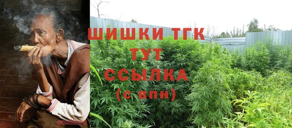 амф Белокуриха
