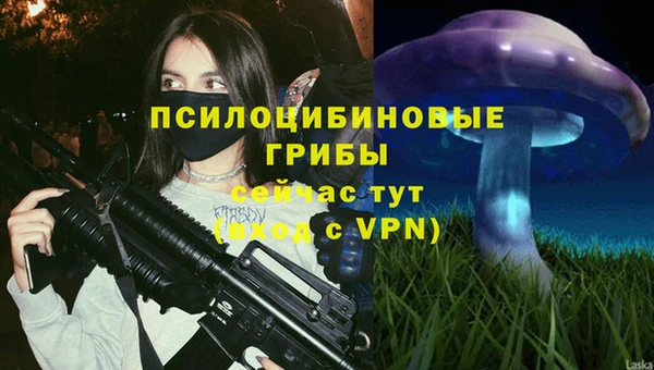 марки nbome Богданович