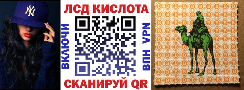 kraken ТОР  Курильск  Марки N-bome 1,8мг 