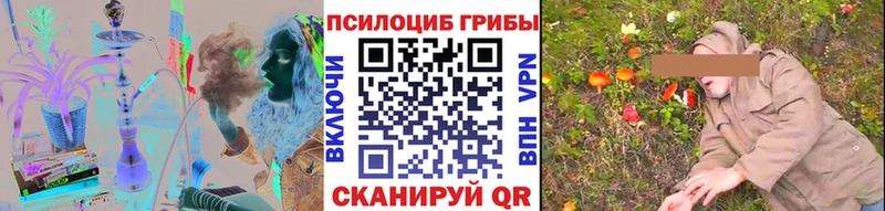 Галлюциногенные грибы Cubensis Курильск