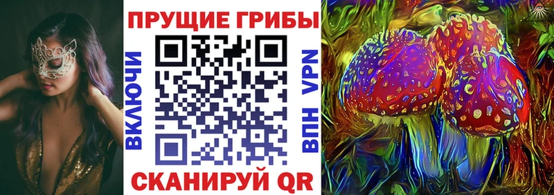 Галлюциногенные грибы Psilocybe Курильск